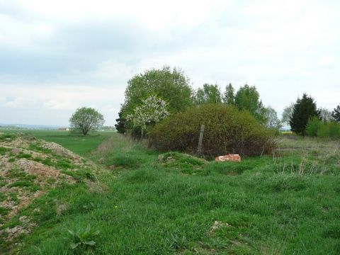 Foto 57